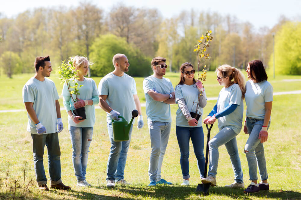 Volunteering, Charity, People and Ecology Concept - Group of Happy Volunteers With Tree Seedlings and Gardening Tools in Park